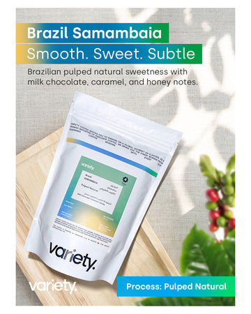 FILTER | WINDROSE | BRAZIL | SAMAMBAIA | CARAMEL