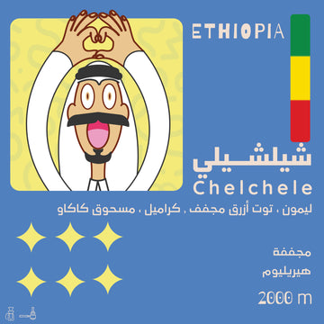 OMNI | Olala Roastery | Chelchele | Dried Blueberry & Lemon (250g)
