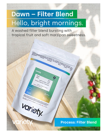 FILTER | WINDROSE | DAWN | BLEND | TROPICAL FRUIT