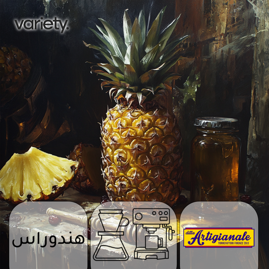 OMNI | HONDURAS | BALANCED - PINEAPPLE & RASIN (250g)