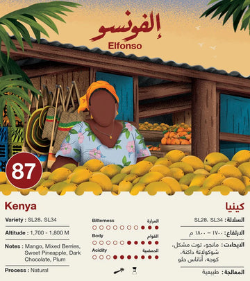 OMNI | KENYA | ELFONSO | MANGO & MIXED BERRIES (250g)