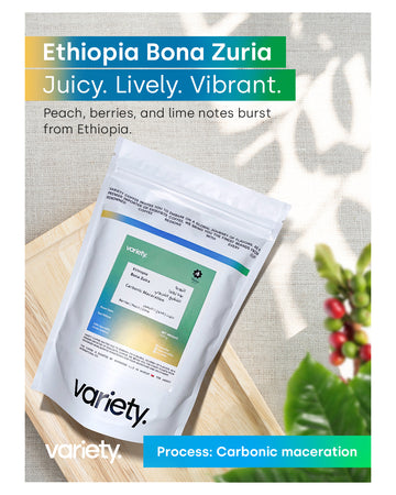FILTER | WINDROSE | ETHIOPIA | BONA ZURIA | BERRIES