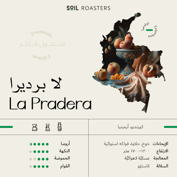 OMNI | COLOMBIA | LA PRADERA | PEACH & TROPICAL FRUIT (250g)