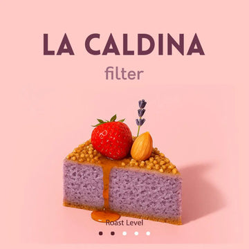 FILTER | COLOMBIA | LA CALDINA | STRAWBERRY & NUTS (250g)