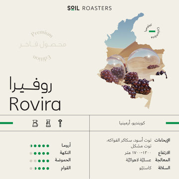 OMNI | COLOMBIA | ROVIRA | BLACKBERRY & MIXED BERRY (250g)