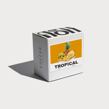FILTER | COLOMBIA | TROPICAL FRUIT (120g)
