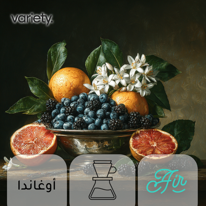 فلتر | اوغندا | مناناسي | توت ازرق وتوت اسود (250 جرام)