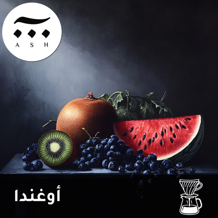 FILTER | ETHIOPIA | LEKE | WATERMELON & KIWI (120g)