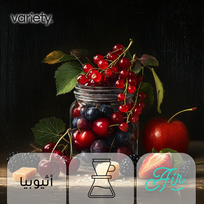 FILTER | ETHIOPIA | SIDAMO | RED FRUITS & CHERRY CANDY (250g)