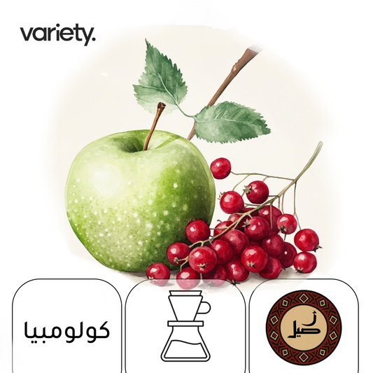 FILTER | COLOMBIA | EL DORADO | RED BERRIES & GREEN APPLE (250g)