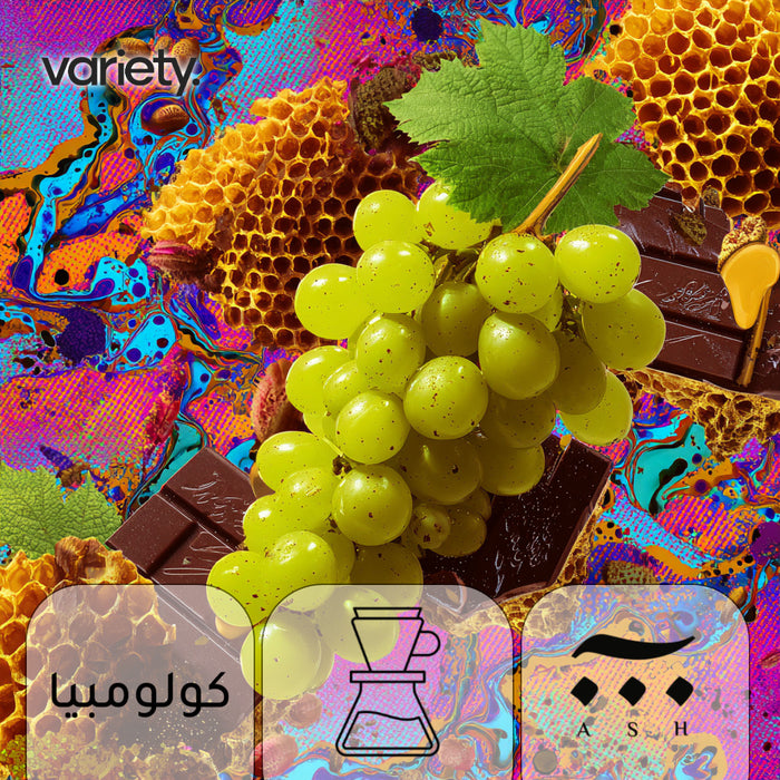 فلتر | كولومبيا | عنب (120 غرام)