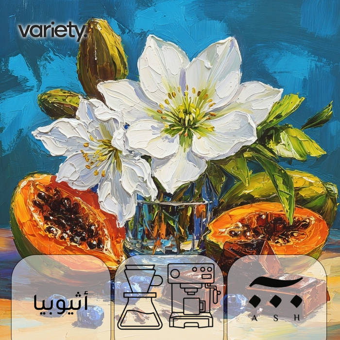 OMNI | ETHIOPIA | GUJI | JASMINE & BLUEBERRY (250g)