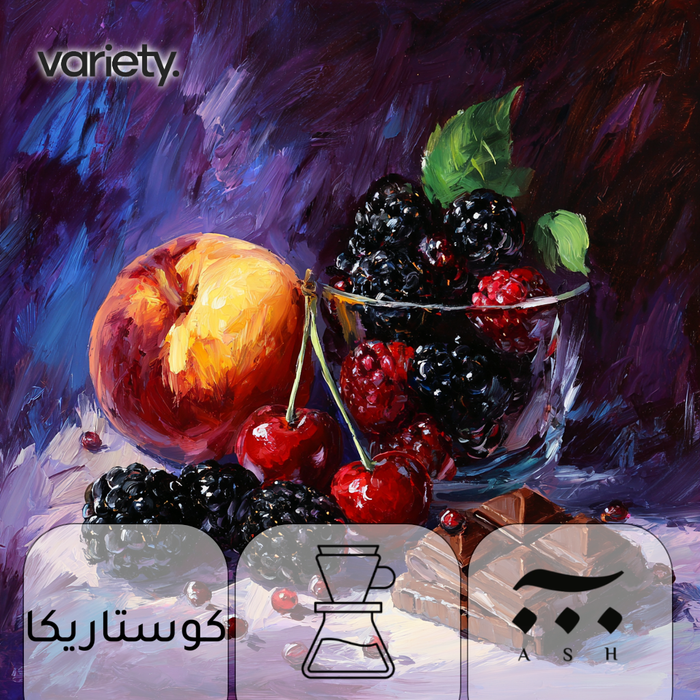 FILTER | COSTA RICA | MIRADOR | BLACK BERRY & PEACH (250g)