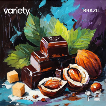 OMNI | BRAZIL | CHOCOLATE BOMB (200g)