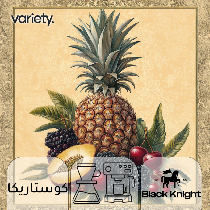 اومني | كوستاريكا | روزيتا | اناناس والتوت (250 جرام)