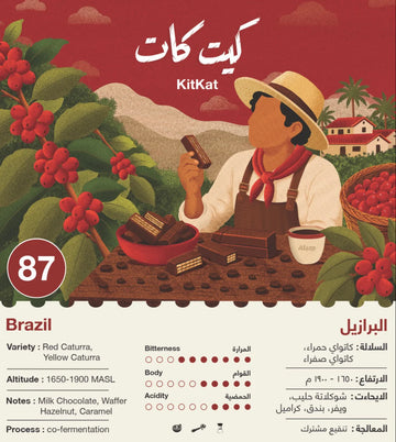 OMNI | BRAZIL | KITKAT | KITKAT INFUSED (250g)