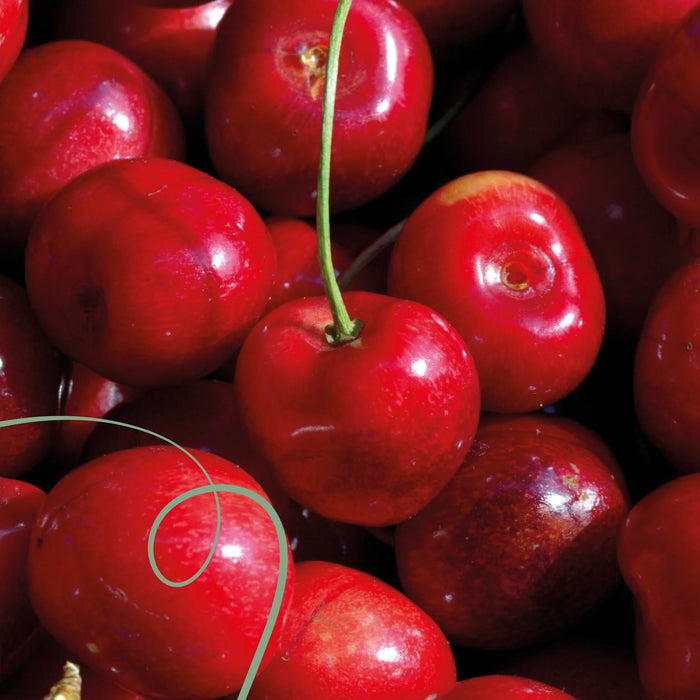 CASCARA | COLOMBIA | CHERRY & DRIED FRUITS (100g)