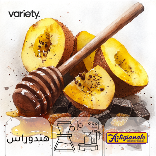 هندوراس | فواكه مجففة (250 جرام)