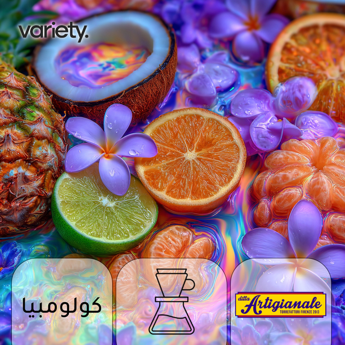 فلتر | كولومبيا | لا بالما | اليوسفس (100 جرام)