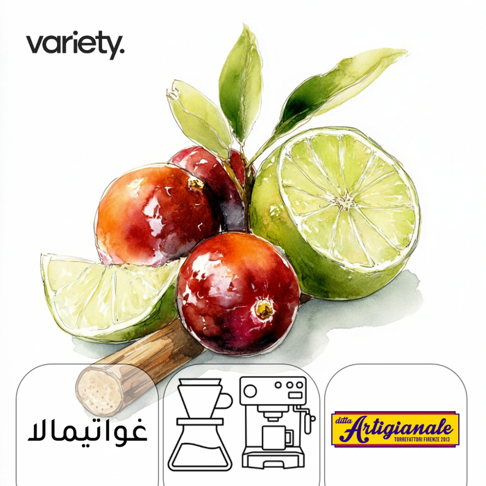 اومني | غواتيمالا | باكامارا مغسولة | توت العليق والليمون (250 غرام)