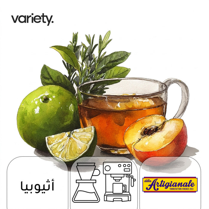 OMNI | ETHIOPIA | TINSHE GUYE | GREEN TEA & STONE FRUIT (250g)