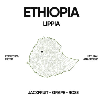 OMNI | ETHIOPIA | LIPPIA | JACKFRUITS & GRAPES (250g)