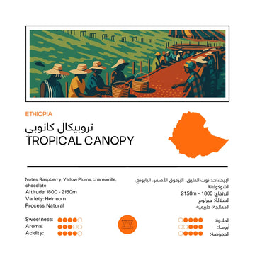 FILTER | ETHIOPIA | TROPICAL CANOPY | RASPBERRY & YELLOW PLUMS (250g)