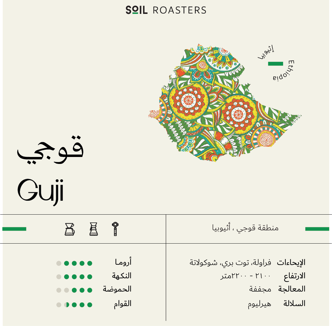 OMNI | ETHIOPIA | GUJI | STRAWBERRY & BLUEBERRY (250g)