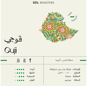 OMNI | ETHIOPIA | GUJI | STRAWBERRY & BLUEBERRY (250g)