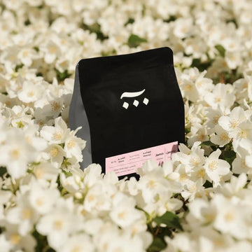 FILTER | INDONESIA | JASMINE (120g)