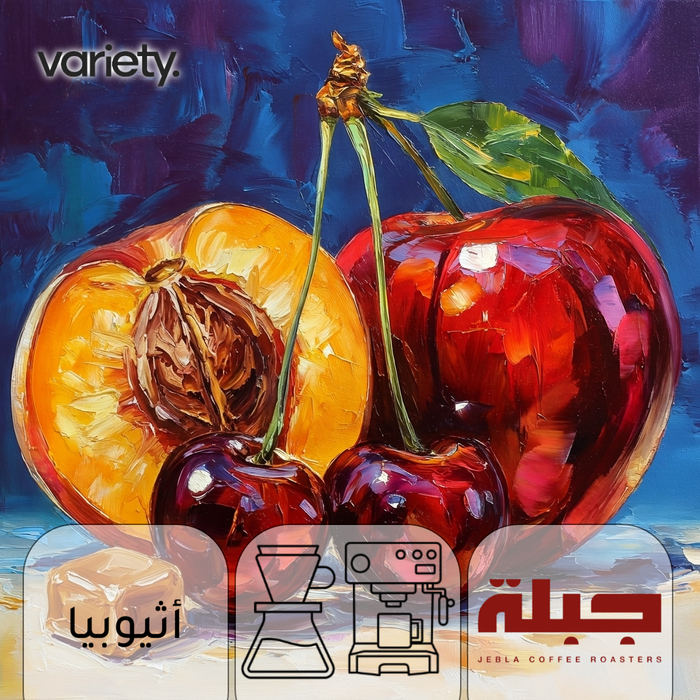 OMNI | ETHIOPIA | HAMBELLA | CHERRY & RED APPLE (250g)