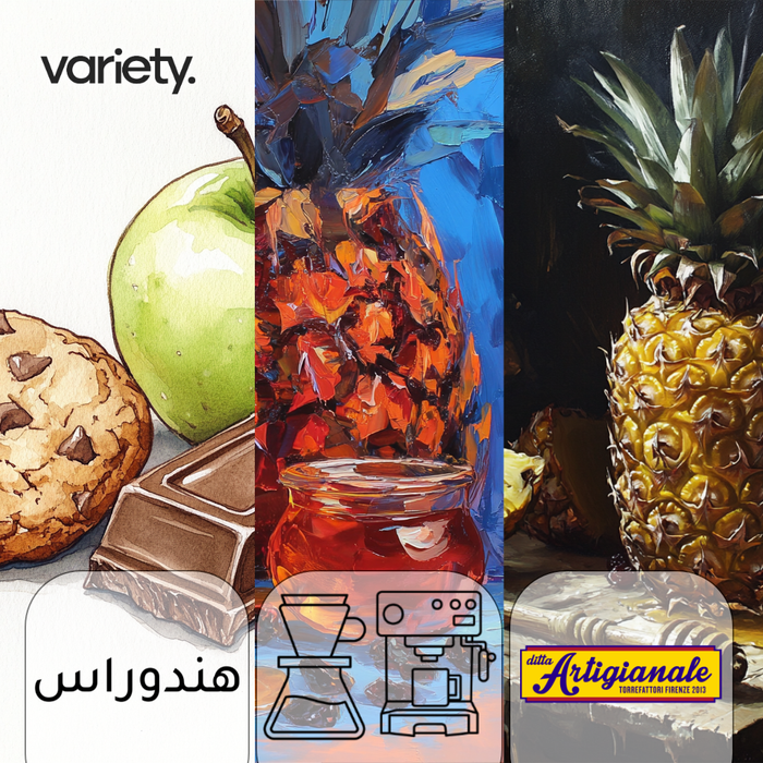 FILTER | HONDURAS | PROCESS LEARNING BOX (3x 100g)