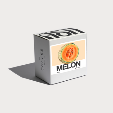 FILTER | COLOMBIA | MELON (120g)