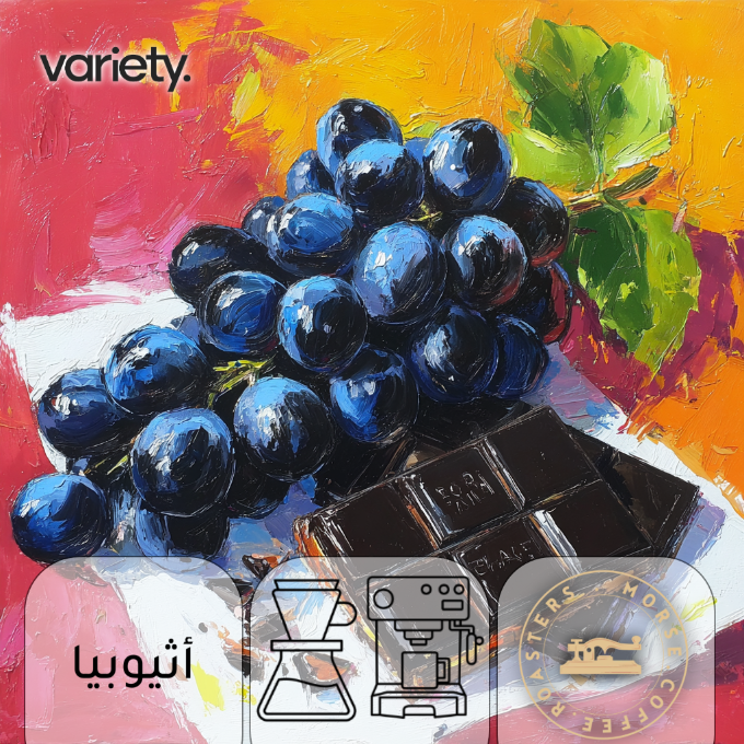 فلتر | اثيوبيا | نينسيبو | عنب وشوكولاتة (250 غرام)