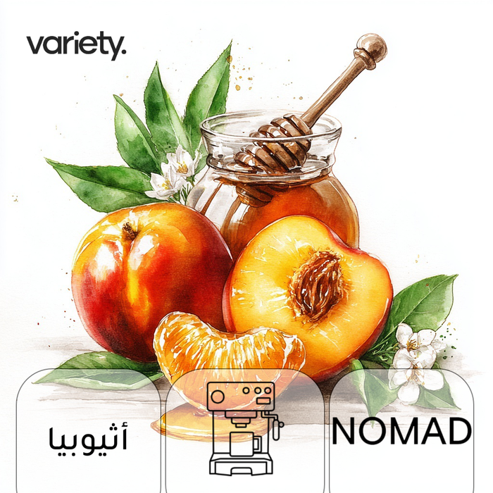 ESPRESSO | ETHIOPIA | BOCHESA | TANGERINE & HONEY (250g)