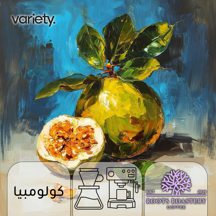 OMNI | COLOMBIA | CAUCA | FRUITY & SWEETNESS (250g)