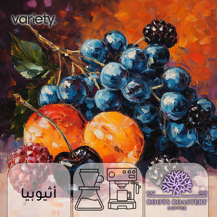 OMNI | ETHIOPIA | HAMBELLA | PEACH & BERRIES (250g)