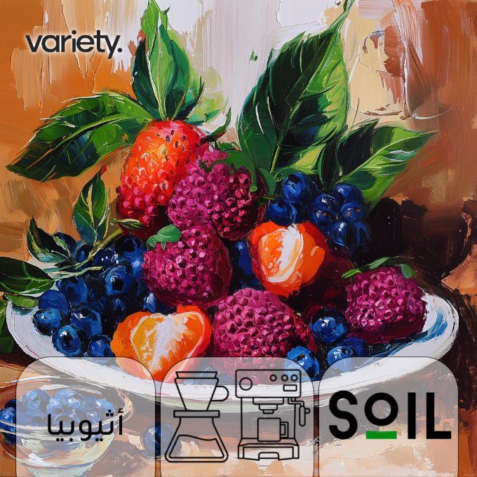 OMNI | ETHIOPIA | CHELCHELE | BERRY & LYCHEE (250g)