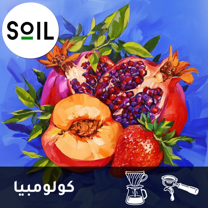 OMNI | COLOMBIA | ALBA | POMEGRANATES & STRAWBERRY (250g)