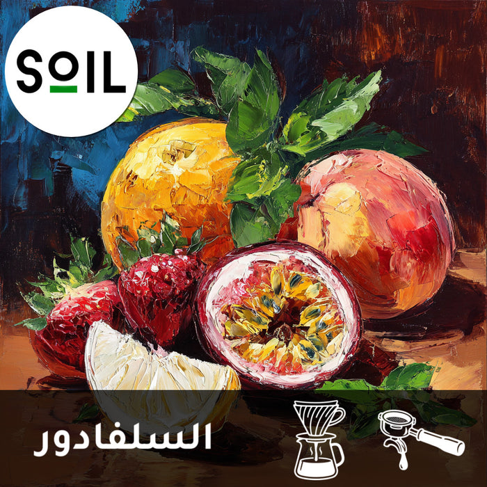 OMNI | EL SALVADOR | EL CARMEN | TROPICAL FRUIT & NUTS (250g)