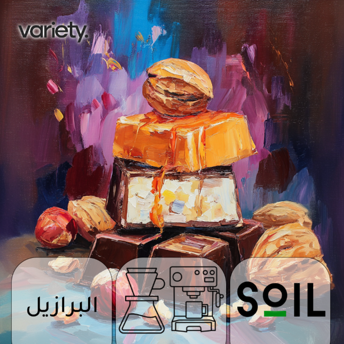 OMNI | BRAZIL | FAZINDA | CHOCOLATE & NUTS (250g)