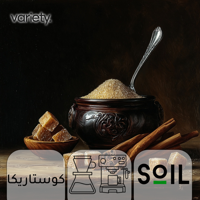 OMNI | COSTA RICA | PARRITA | BROWN SUGAR & CINAMON (250g)