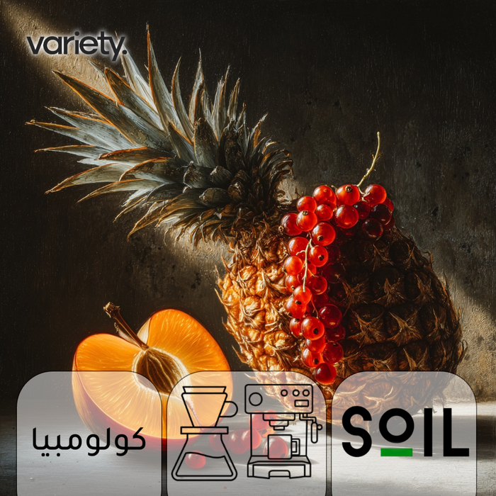 OMNI | COLOMBIA | SERENA | PINEAPPLE & RAISINS (250g)