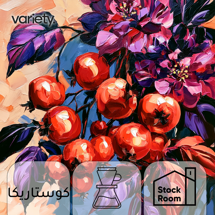 FILTER | COSTA RICA | H3 HYBRID | RED BERRIES & FLORAL (250G)