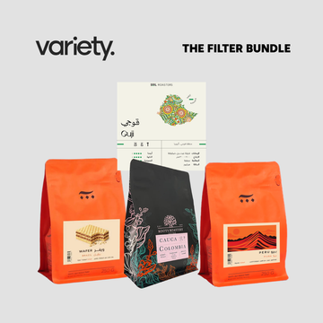 THE FILTER BUNDLE