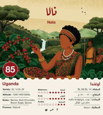 OMNI | UGANDA | NALA | BERRIES & DARK CHOCOLATE (250g)