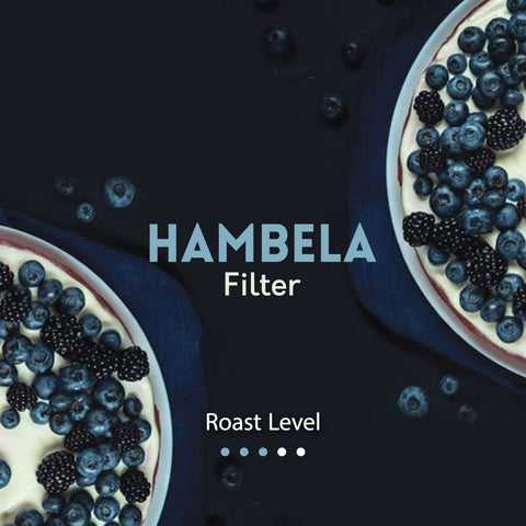 FILTER | ETHIOPIA | HAMBELA | FRUITY & FLORAL (250g)